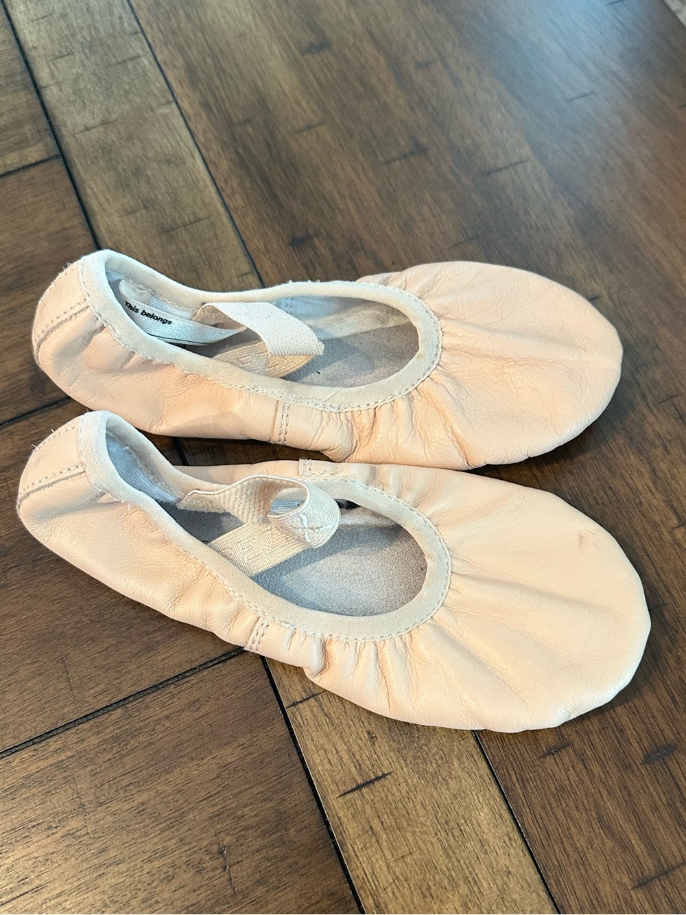 Capezio Ballet Shoes